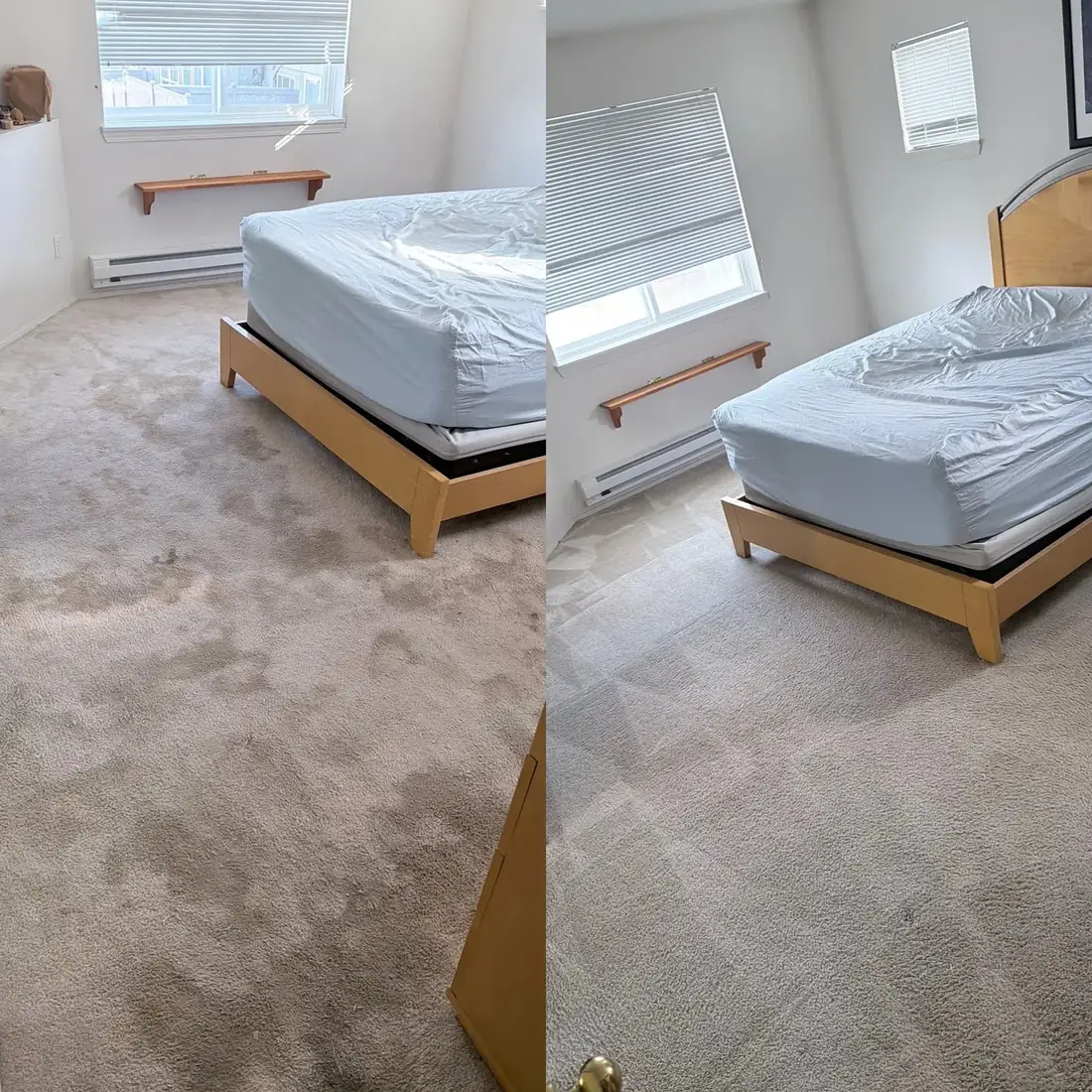 Before and after: heavily soiled beige bedroom carpet around a bed, then uniformly clean