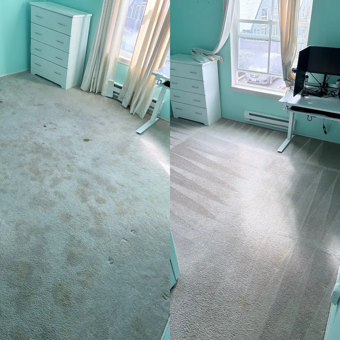 Before and after: pale carpet covered in brown pet stains, then clean and bright after treatment