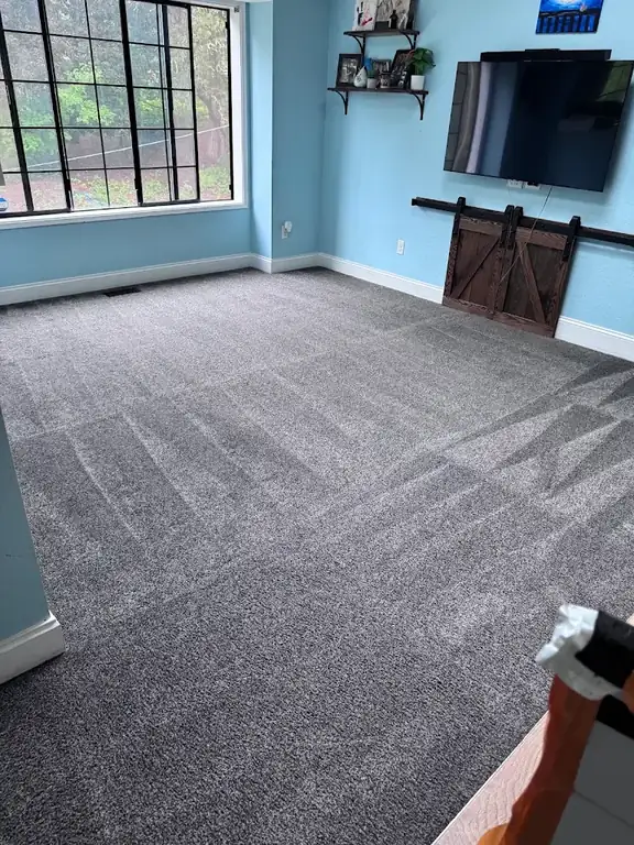 Dark gray carpet cleaned in a family room with light blue walls and a wall-mounted TV